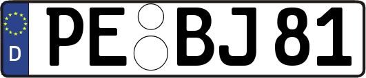 PE-BJ81
