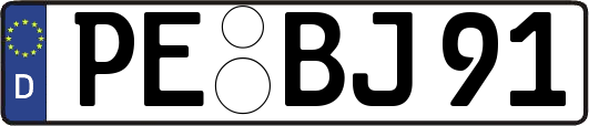 PE-BJ91