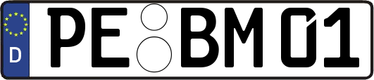 PE-BM01