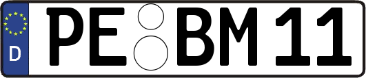 PE-BM11