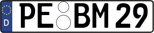 PE-BM29