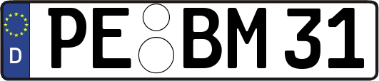 PE-BM31