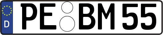 PE-BM55