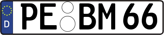 PE-BM66