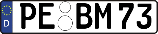 PE-BM73