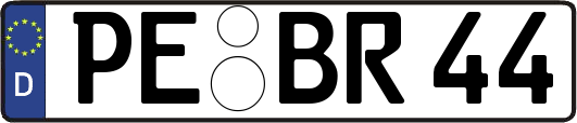 PE-BR44