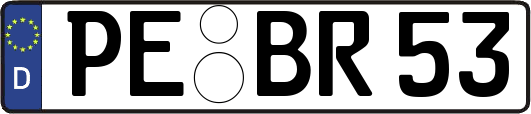 PE-BR53