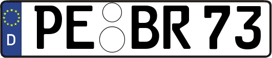 PE-BR73