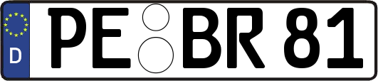 PE-BR81