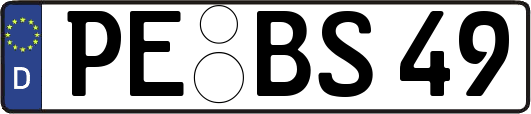 PE-BS49