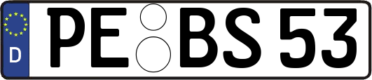 PE-BS53
