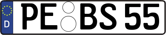 PE-BS55