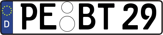 PE-BT29