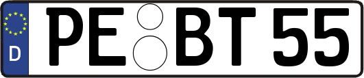 PE-BT55