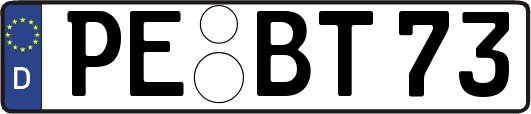 PE-BT73