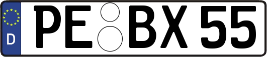 PE-BX55