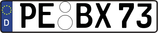 PE-BX73