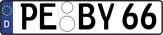PE-BY66