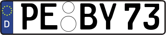 PE-BY73