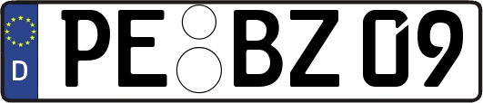 PE-BZ09