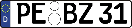 PE-BZ31
