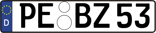 PE-BZ53
