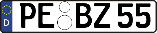 PE-BZ55