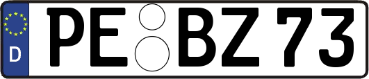 PE-BZ73