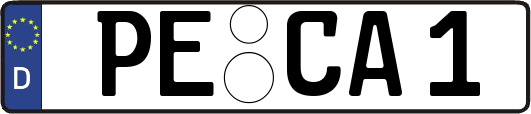 PE-CA1