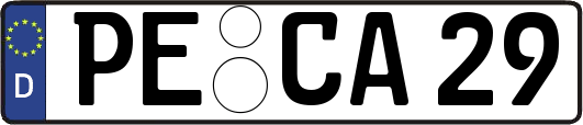 PE-CA29
