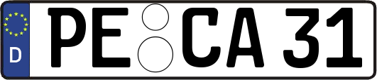PE-CA31