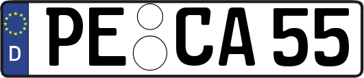 PE-CA55