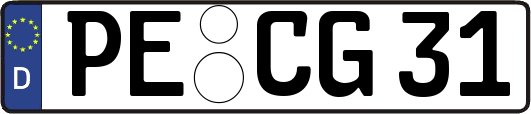 PE-CG31