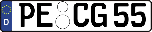 PE-CG55