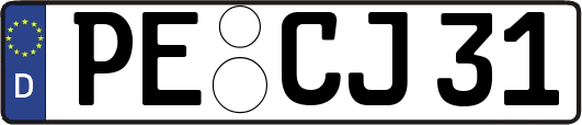 PE-CJ31