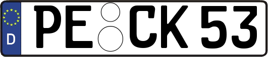 PE-CK53
