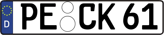 PE-CK61
