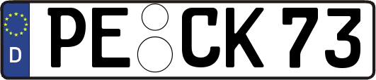 PE-CK73