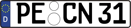 PE-CN31