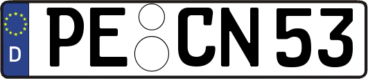 PE-CN53