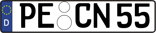 PE-CN55