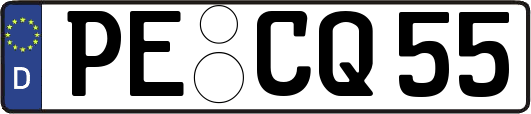 PE-CQ55