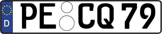 PE-CQ79