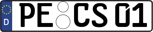 PE-CS01