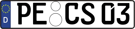 PE-CS03
