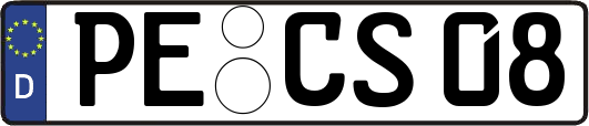 PE-CS08