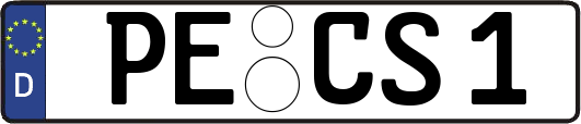 PE-CS1