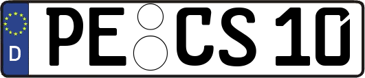 PE-CS10