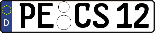 PE-CS12