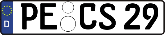 PE-CS29